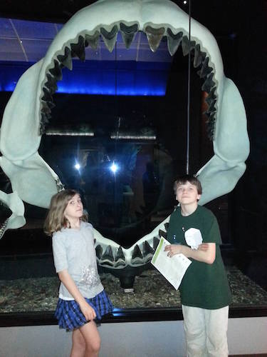 Megalodon!